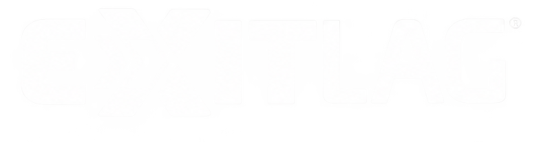 ExitLag